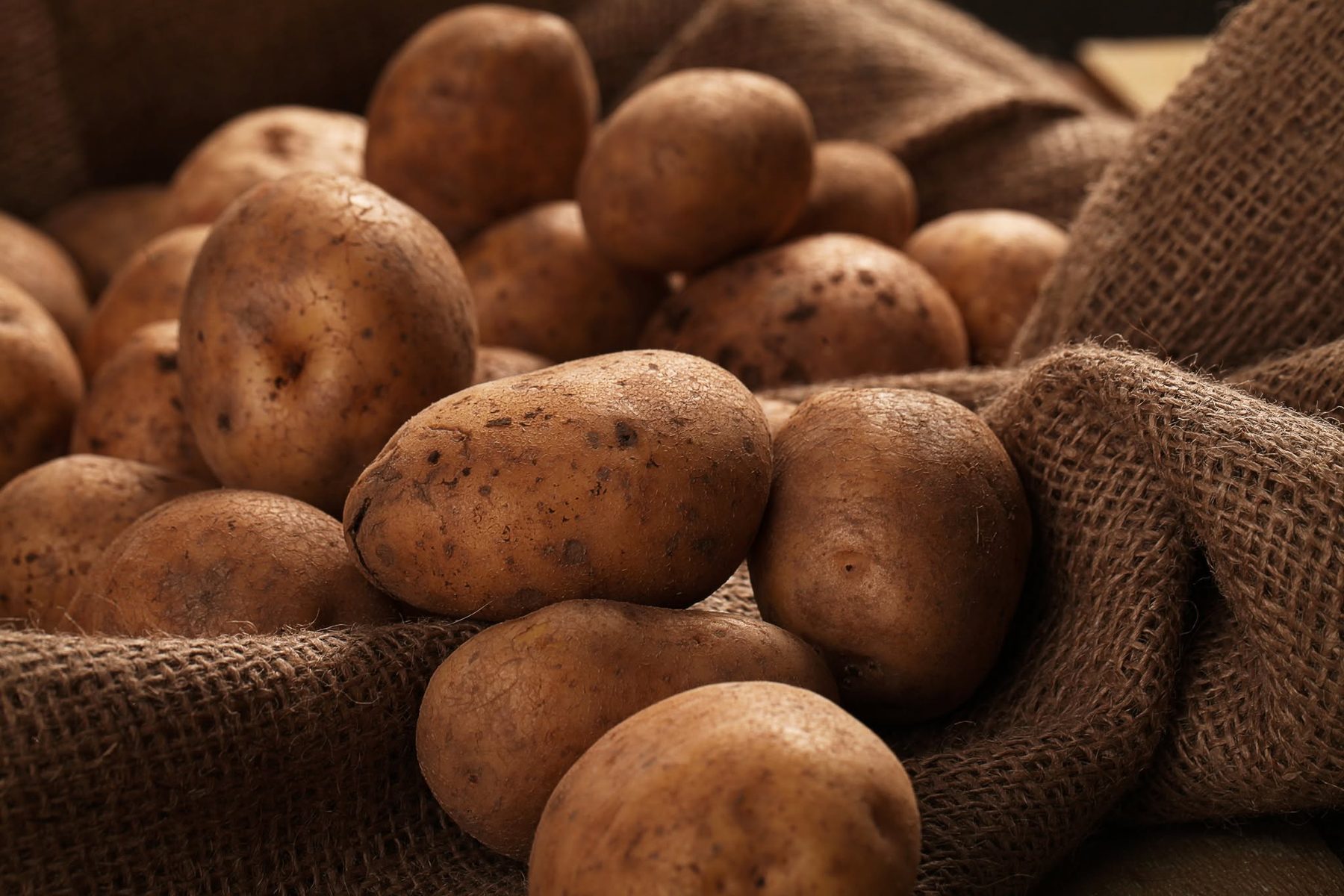 Pommes de terre Bintje fraîches dans un sac de jute